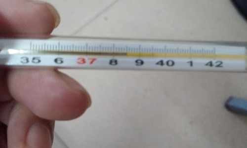 什么减肥产品最有效最安全不反弹-什么减肥产品有效果网 - 什么产品减肥口碑好,什么减肥产品有效果最好